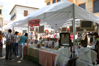 Feria artesania