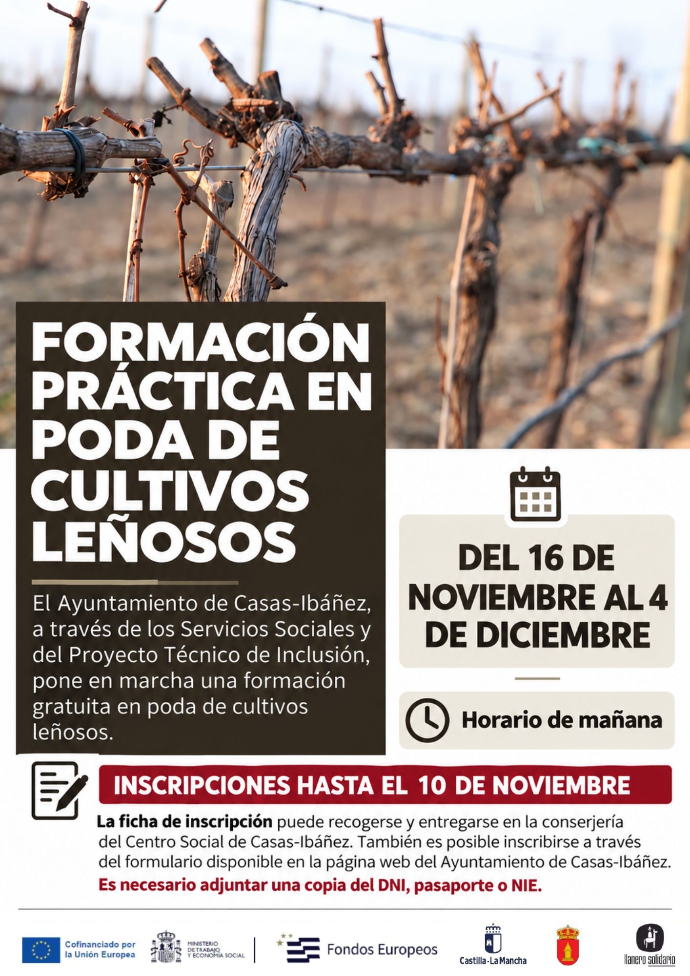 Casas Ibáñez lanza un curso gratuito de poda de cultivos leñosos para fomentar la inclusión laboral